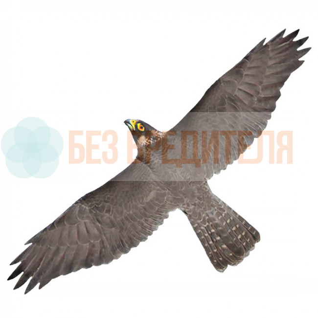 Визуальный отпугиватель птиц Хищник 1 Визуальный отпугиватель птиц Хищник 1